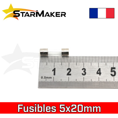 Edi-tronic Lot de 10 fusibles temporisés en verre, 6,3 x 32 mm, 250 V