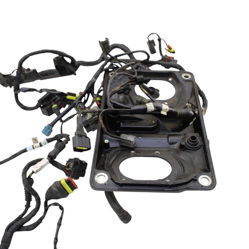 2016 - 2019 DUCATI PANIGALE 959 MAIN HARNESS WIRE LOOM *DAMAGED/FOR PARTS* - Picture 5 of 20
