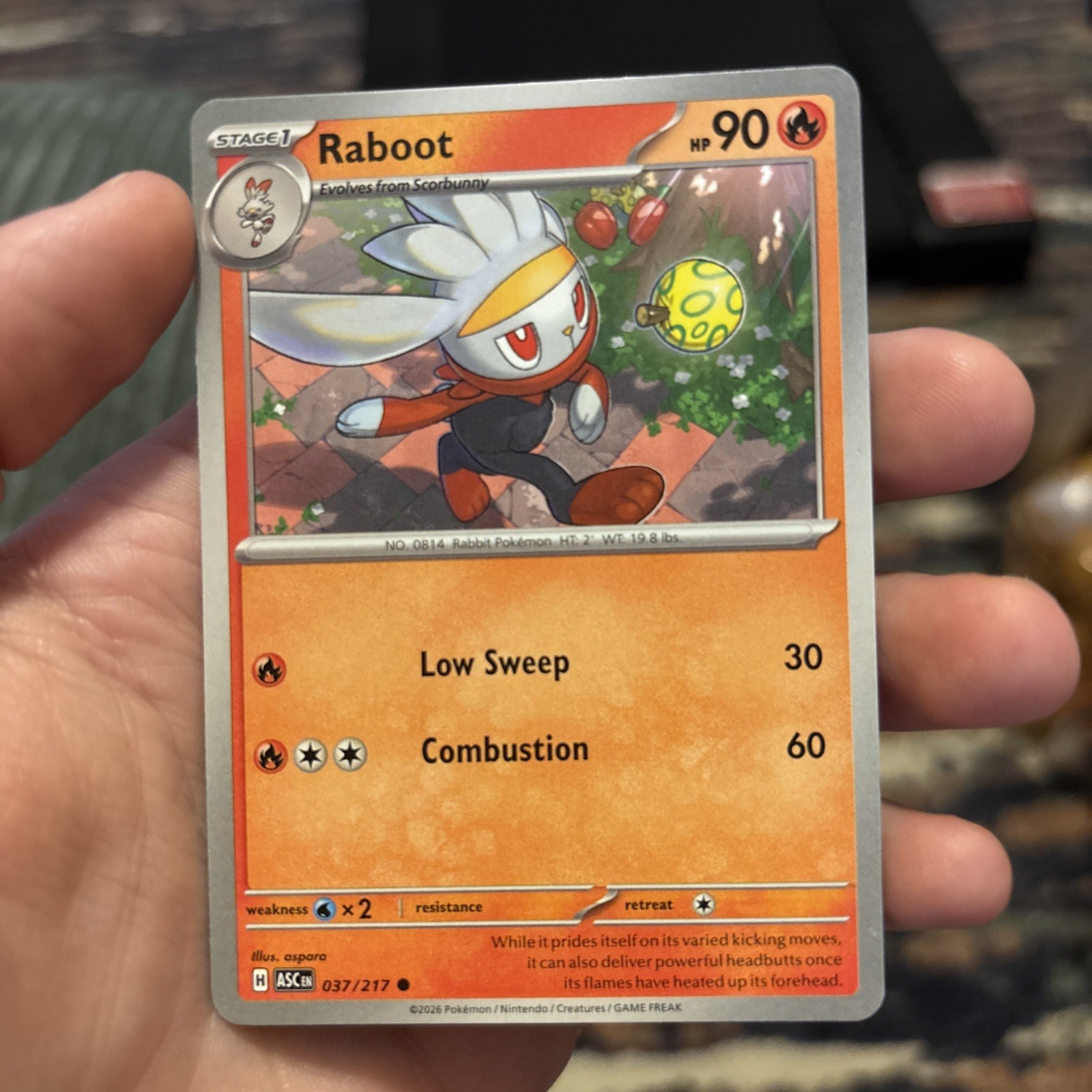 Raboot ME: Ascended Heroes 037/217 NM Normal Pokemon 