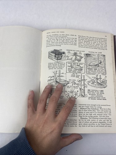 The Complete Book of GARDEN MAGIC by Roy E.Biles 1948 Illustrated - Picture 15 of 16