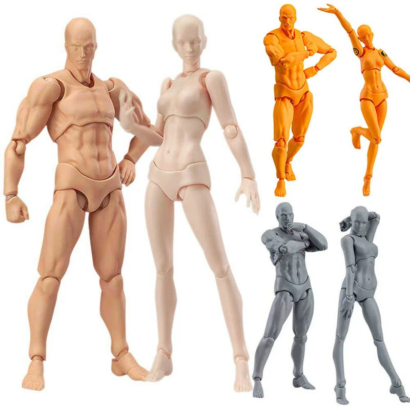 gnallang Drawing Figure Model (Female Model) with Box Model Joint  Movable，Drawing Action Figures PVC Drawing Doll Model Figure Human Body  with Joints