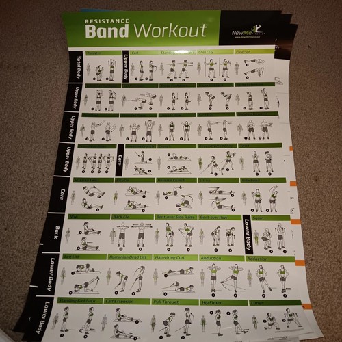 NEWME Laminated Workout Exercise Posters SET OF 4 COLOR Brand New - Picture 5 of 8