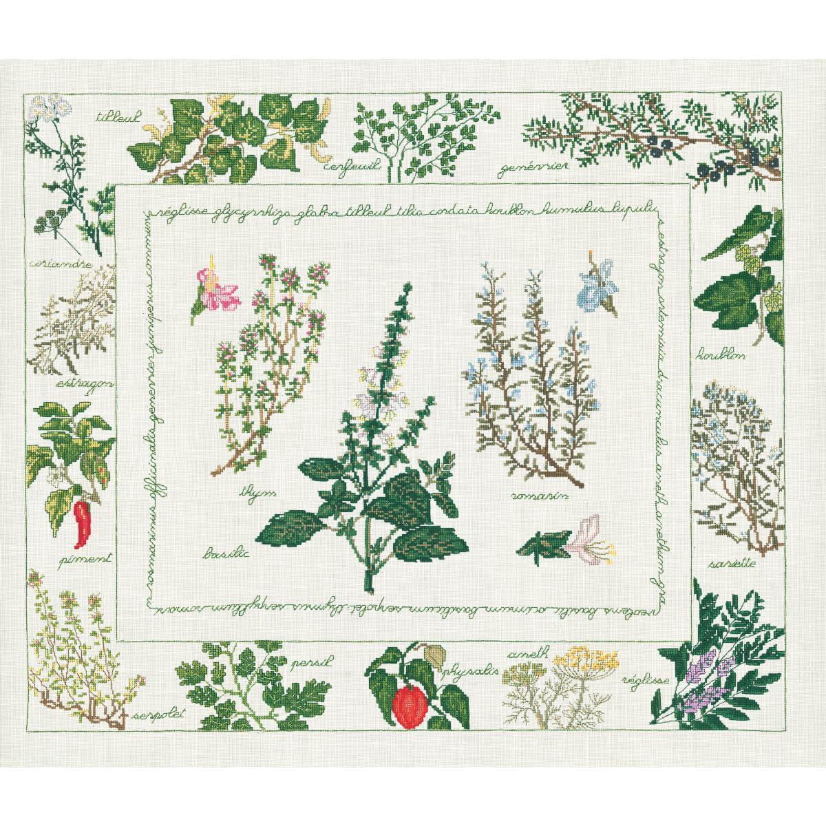Le Bonheur des Dames counted cross stitch kit ""Herbarium"", 54x46cm, DIY