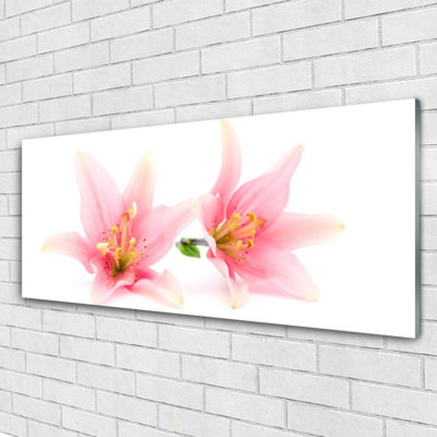 Acrylglasbilder Wandbilder aus Plexiglas  125x50 Blumen Pflanzen
