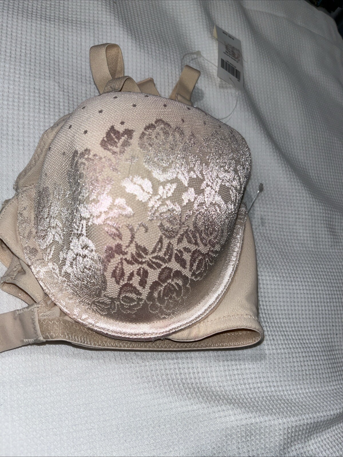 Picture 3 of 3