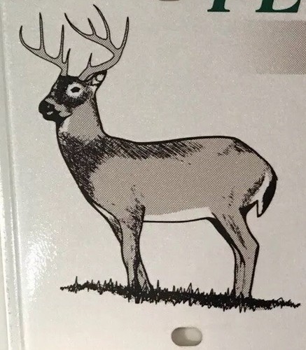WILDLIFE DEER license plate Nature hunt hunting Animal Hunter Wild Stag Buck Doe - Picture 2 of 12
