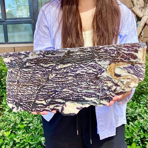 6.5LB Natural zebra stone slices/black stripes/purple fluorite symbiosis - 第 1/12 張圖片