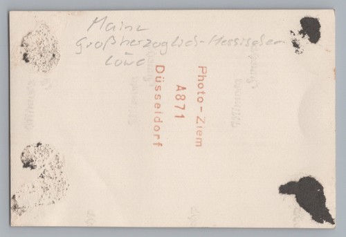 Mainz - Großherzoglich-Hessischer Löwe - Altes Foto 1930er - Picture 2 of 2