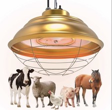 600 Watt Heat Lamp Two-Stage Temperature Control Chicken Coop Livestock