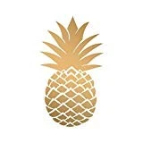 Paperproducts Design PPD Golden Pineapple Cocktail Paper Napkins,5"x5", Gold
