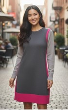 Eliza J Color Block Long Sleeve Women’s Sweater Dress Size Medium