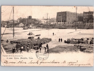 c1905 Levee Cotton Scene Memphis Tennessee TN Rotograph UDB Undivided Back
