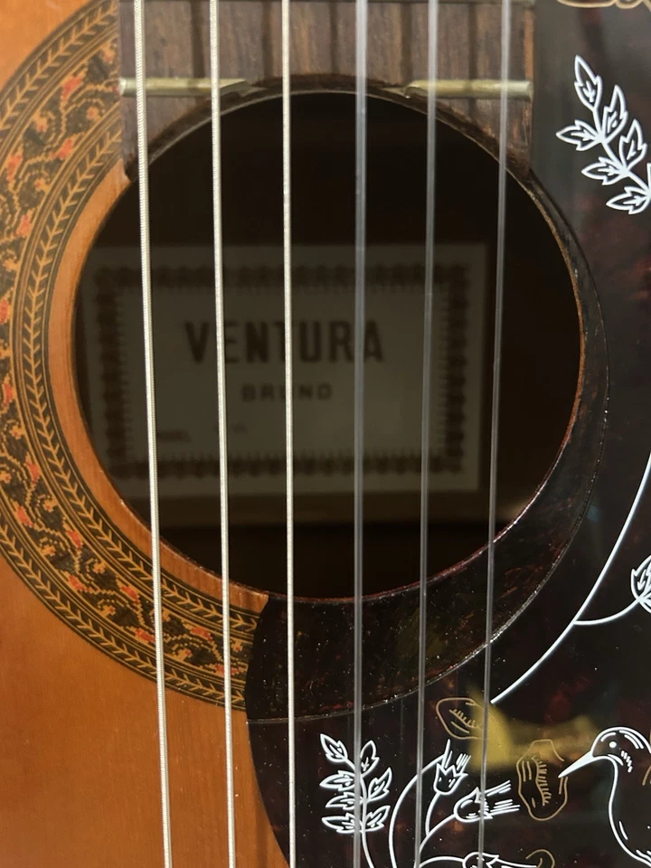  Guitarra clásica Ventura Bruno GT-85 Foto 3 de 4