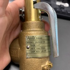 29 Series 1/2" MNPT x 1" FNPT 423 LBS/HR Safety Relief Valve (100 psi)