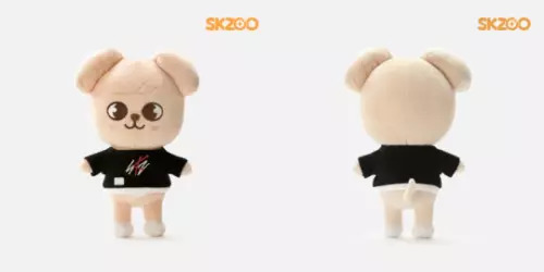 Stray Kids Skzoo OFFIZIELLES Kpop Streuner Kinder Plüschtiere POPUP Puppe Spielzeug Geburtstagsgeschenk- - Bild 19 von 32