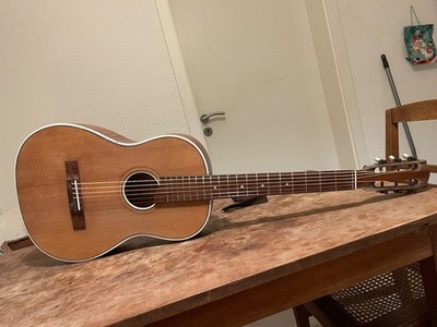 Hopf Style   Procol Harum Special   Vintage Akustische Gitarre  ca. 1955