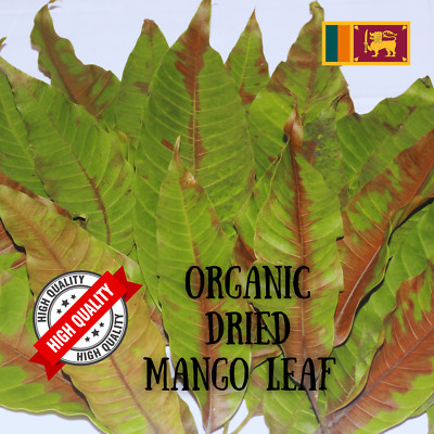 Mango Leaf Dried ORGANIC 100% Natural Leaves Herbal Fresh Quality leaves for