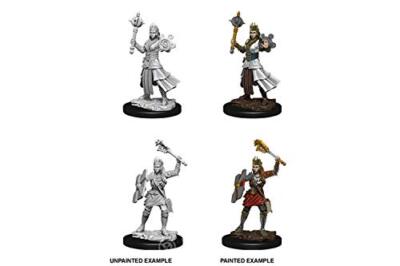 D&D Nolzur's Marvelous Miniatures - Female Human Cleric