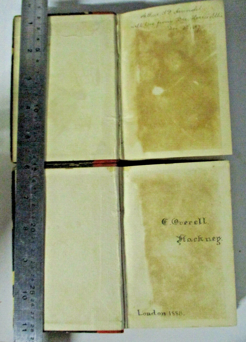 Picture 5 of 12