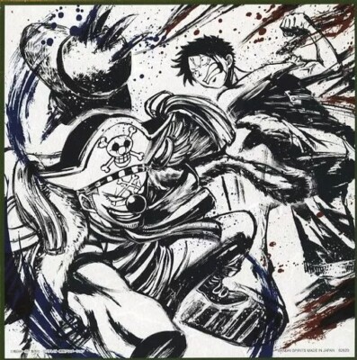 One Piece Monkey D. Luffy vs Buggy Shikishi Art Board BANDAI Japan