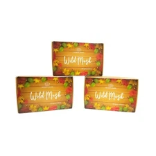 FORGANIK Wild Musk Moisturizing Natural Handmade Soap Bar Combo 300 gm Pack of 3