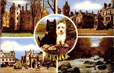 Huntly Castle Square Gordon Arms Hotel Postcard PM Tomintoul Ballindalloch