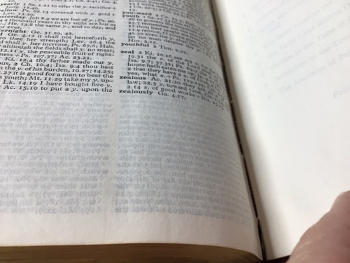 Cambridge University Press Pocket Snap Bible Calfskin Leather? Red Letter READ - Picture 9 of 13
