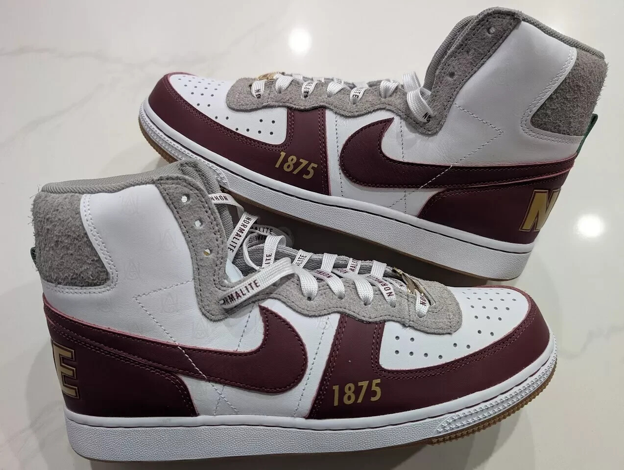 Nike x Alabama A&M University Terminator High Bulldogs - Men's Size 10, Limited