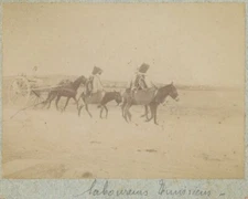 Tunisie. Tunisia. Laboureurs tunisiens. Tirage albuminé Soler circa 1880