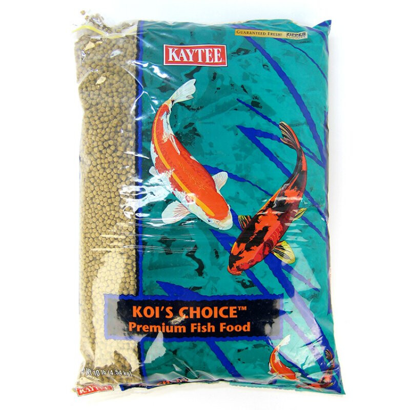 Kaytee Kois Choice Premium Fish Food eBay