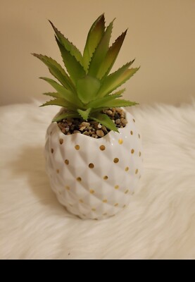 succulent plant arrangements Succulent arrangement
