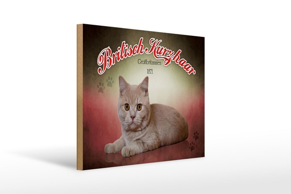 Holzschild Katze 40X30 Cm British Kurzhaar GroßBritannien Deko Schild-image