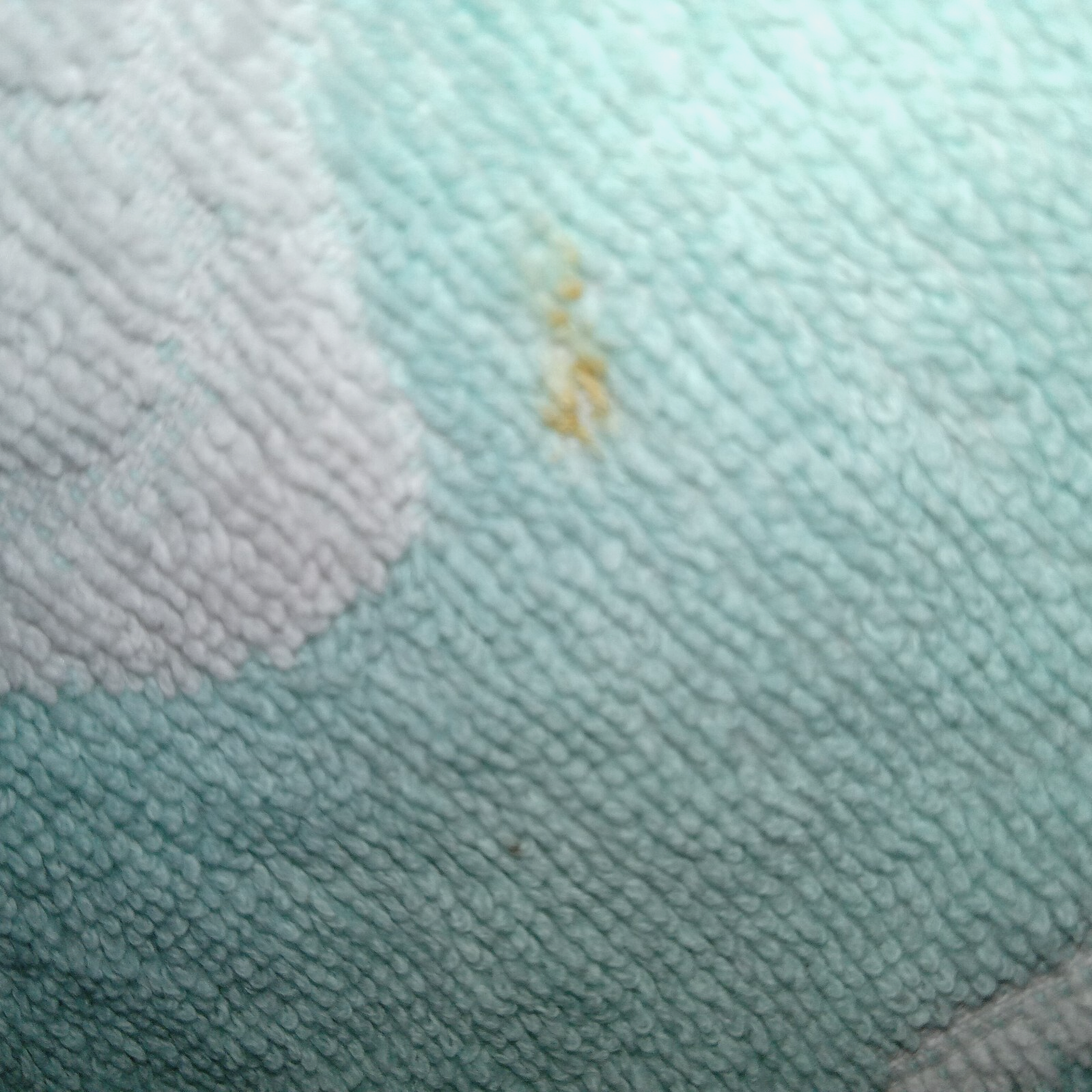 Foto 4 di 6