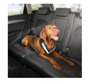 audi dog harness