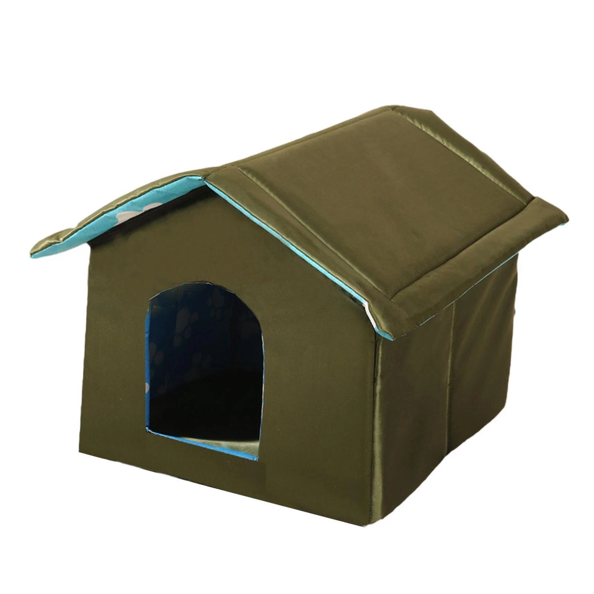 Stray kitten sale shelter