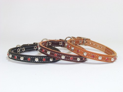 1/2" breites hochwertiges Leder Hundehalsband mit rot türkis & Kuppeln Made in USA - Bild 1 von 19