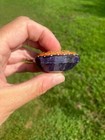 433.50  Ct Certified Blue Sapphire Natural African Gemstone Super Meena   — photo 8