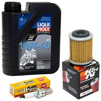 Set ÖL Inspektion FüR Yamaha SR 125 10F SR125 SR 1989-2002 1L ÖLfilter ZüNdkerze