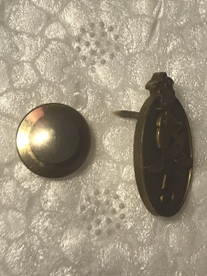 Prendedor de premio Disney Cast Member Service - (Pato Donald 5 años) Foto 4 de 4