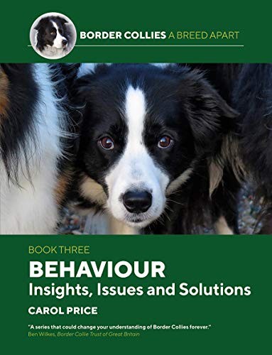 Behaviour: INsights, Issues and Solutions by Carol Price 9781910488546 NEW - Image 6