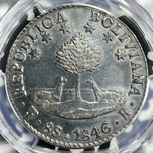 1846-PTS R Bolivia 8 Soles PCGS XF45 Lot#G9612 Large Silver! - 第 4/4 張圖片