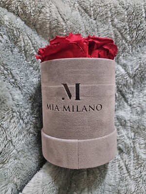 MIA MILANO 4 Infinity Red Preserved Real Roses Love Valentines Day