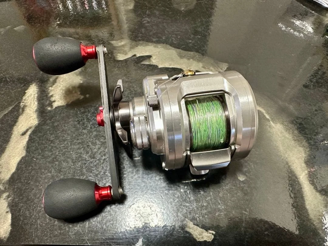 Daiwa Catalina In Baitcasting Fishing Reels for sale | eBay