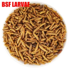Dried Black Soldier Fly Larvae Chickens Feed Birds Treats Natural Food Bulk BSFL