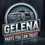 GELENA LLC