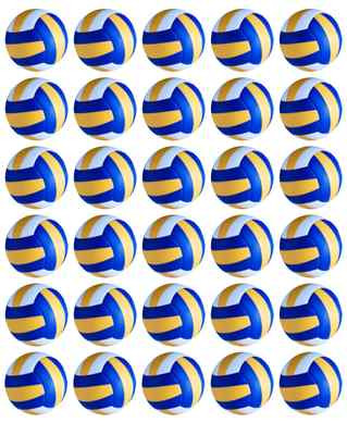 Volleyball Edible Cupcake Fairy Cake Toppers Decorations Pre Cut