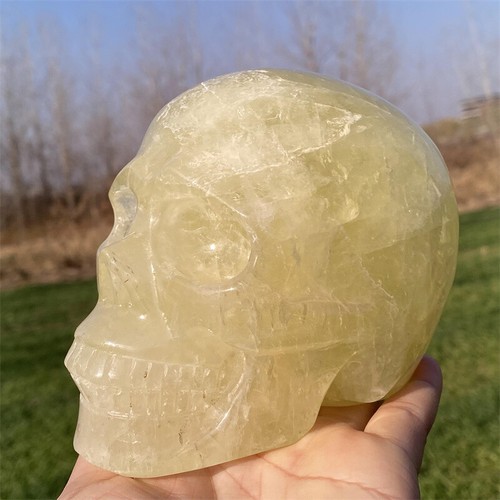 1,54 kg teschio citrino naturale intagliato a mano cristallo Reiki decorazione teschio regalo vacanze - Foto 3 di 13