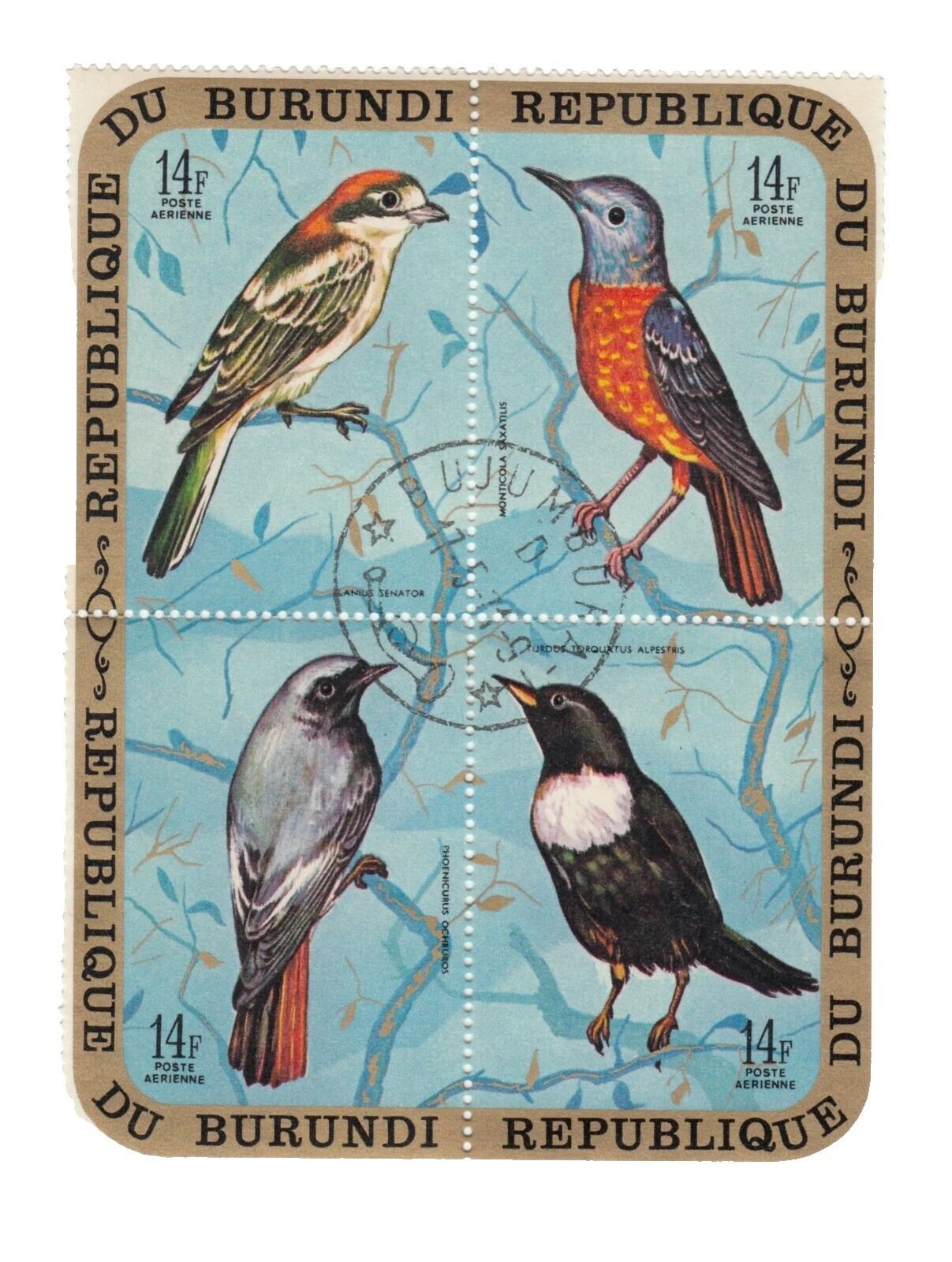 Correio Aéreo Decimais Selos postais do Reino Animal