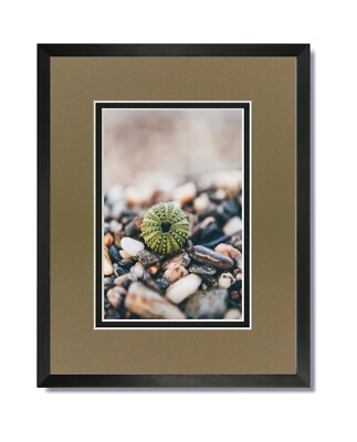 12x16 EcoLine Black Picture Frame with Tumbleweed/Black Mat for 8x12