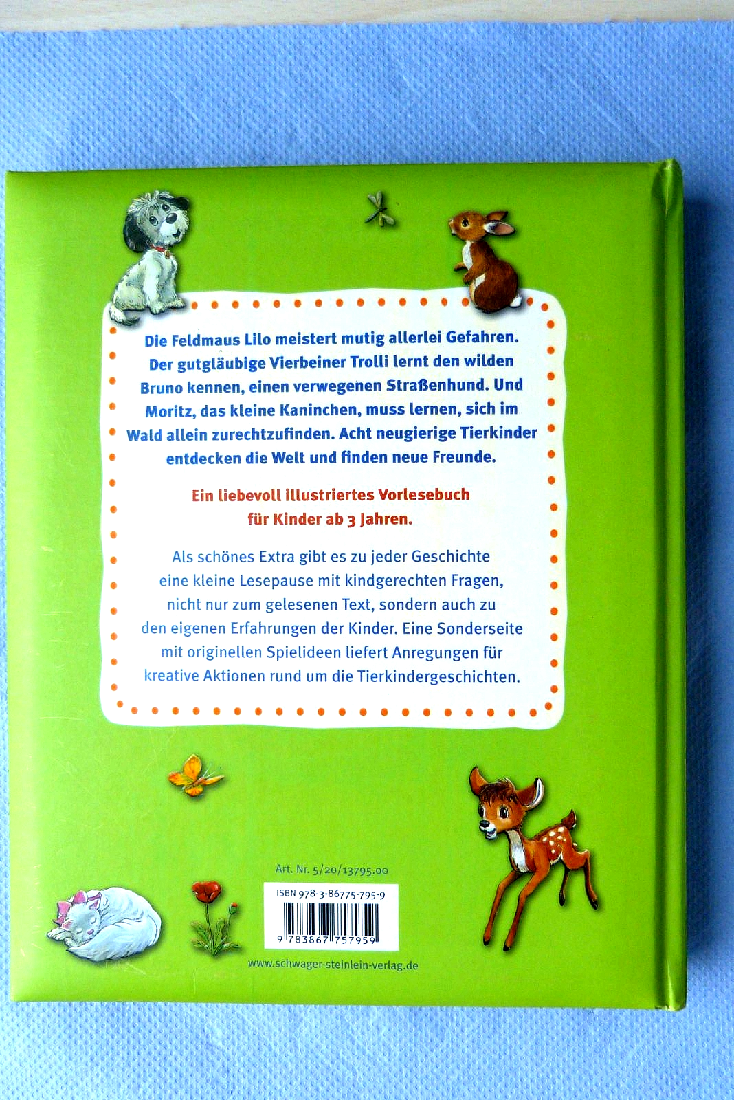 Bild 11 von 11